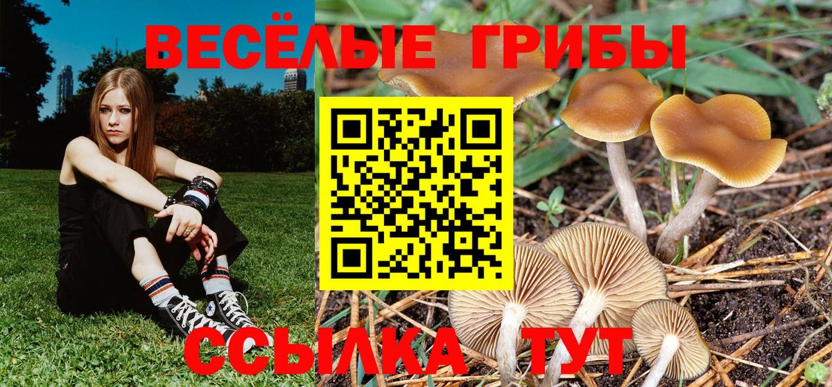 Псилоцибиновые грибы прущие грибы  Галлюциногенные грибы прущие грибы  Мытищи  Вход с VPN 