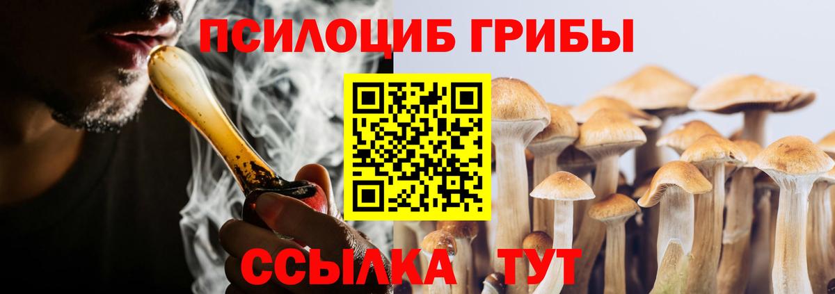 Галлюциногенные грибы GOLDEN TEACHER Мытищи